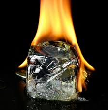 WingedProHawks's tweet image. I snapped a great picture of Shoto while he was out with Endeavor.