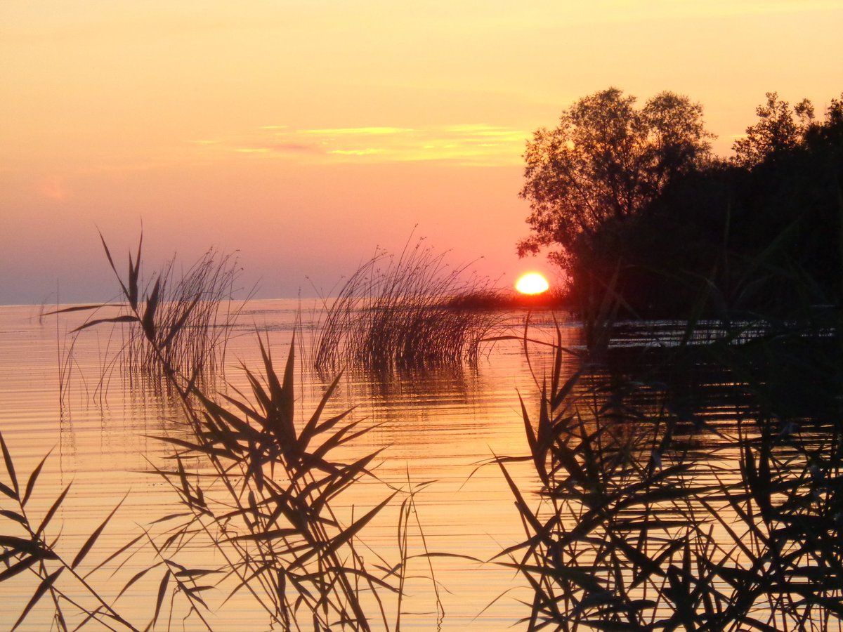 luvsve's tweet image. Сегодня был такой красивый закат, просто посмотрите