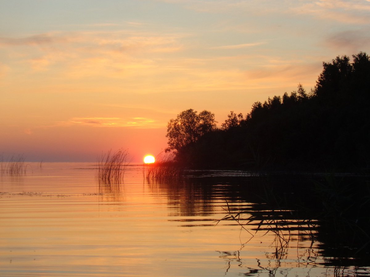 luvsve's tweet image. Сегодня был такой красивый закат, просто посмотрите