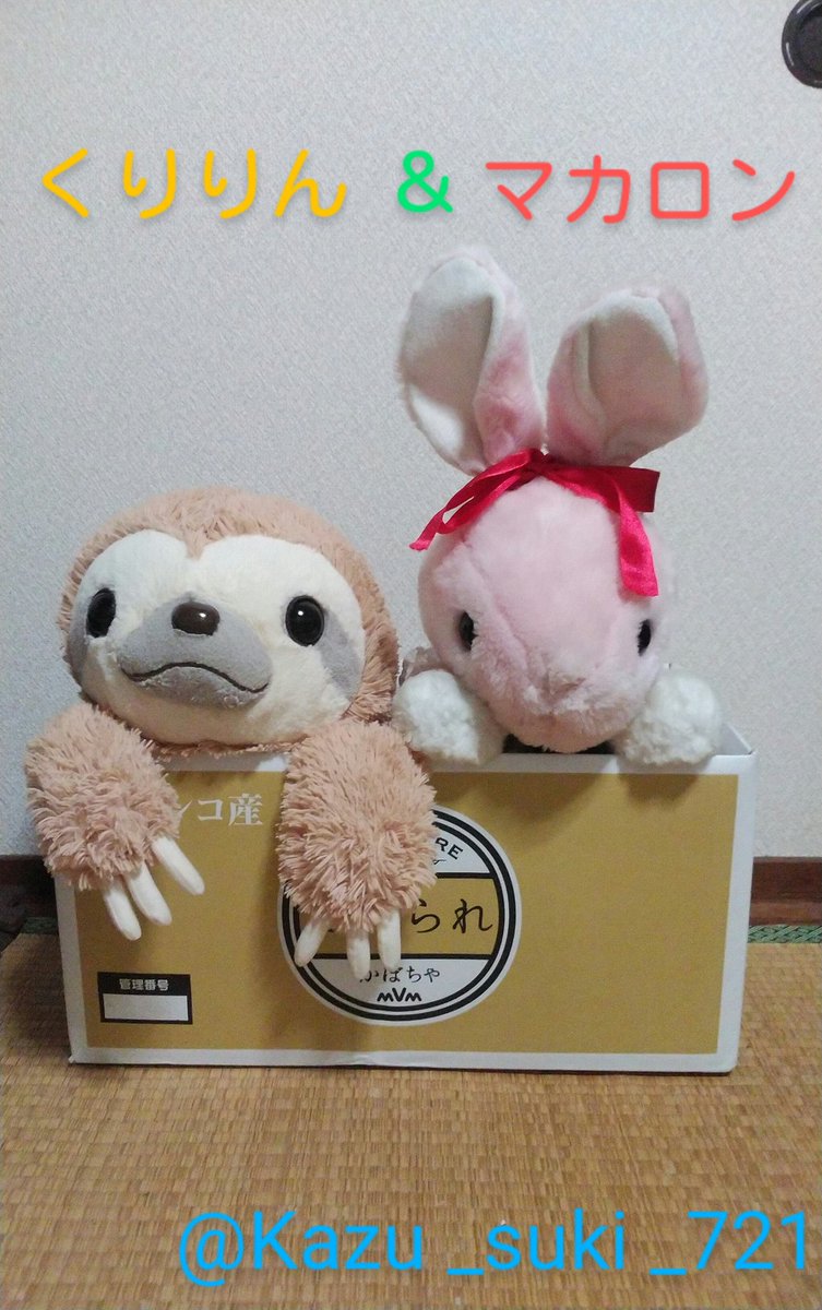 ぬいぐるみ依存症