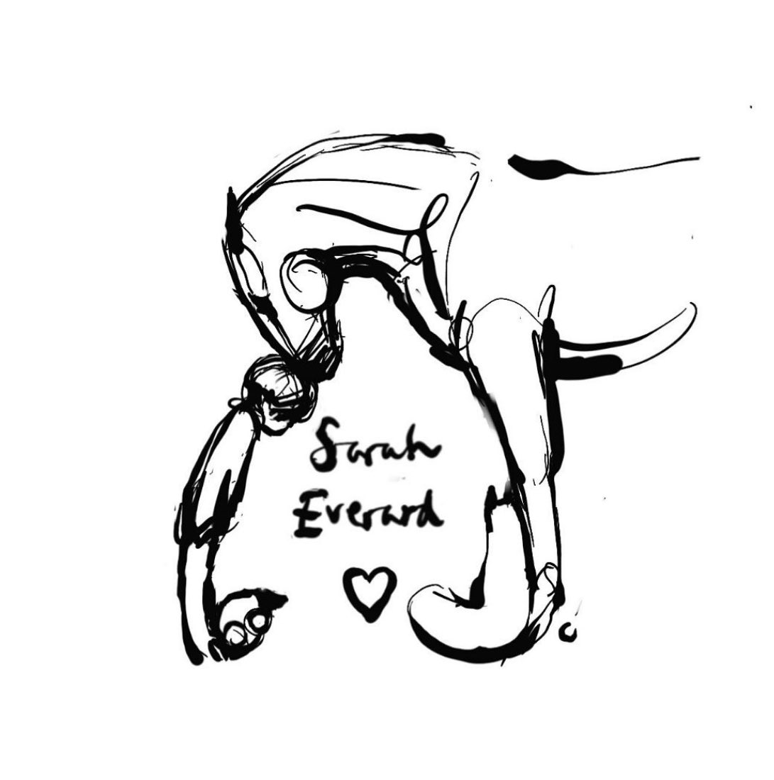 charlie mackesy (@charliemackesy) on Twitter photo 