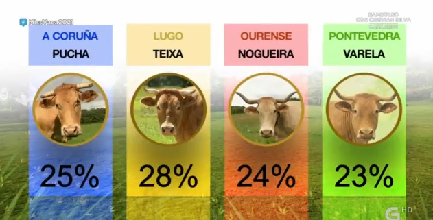 Segunda rolda de resultados. Máis igualadas!

#Missvaca2021