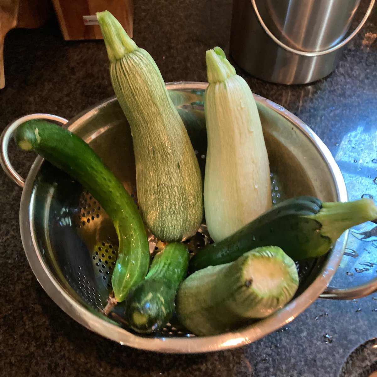 JimGaffigan's tweet photo. I’ll never fully understand the enjoyment I feel in growing things I have no interest in eating: https://t.co/Pe7COPwWPc