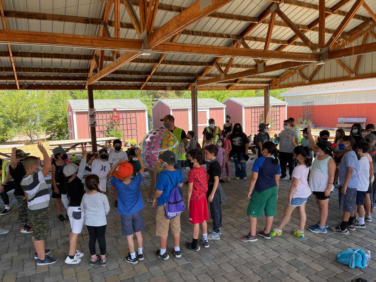 Veggielution 👩🌾 tweet media