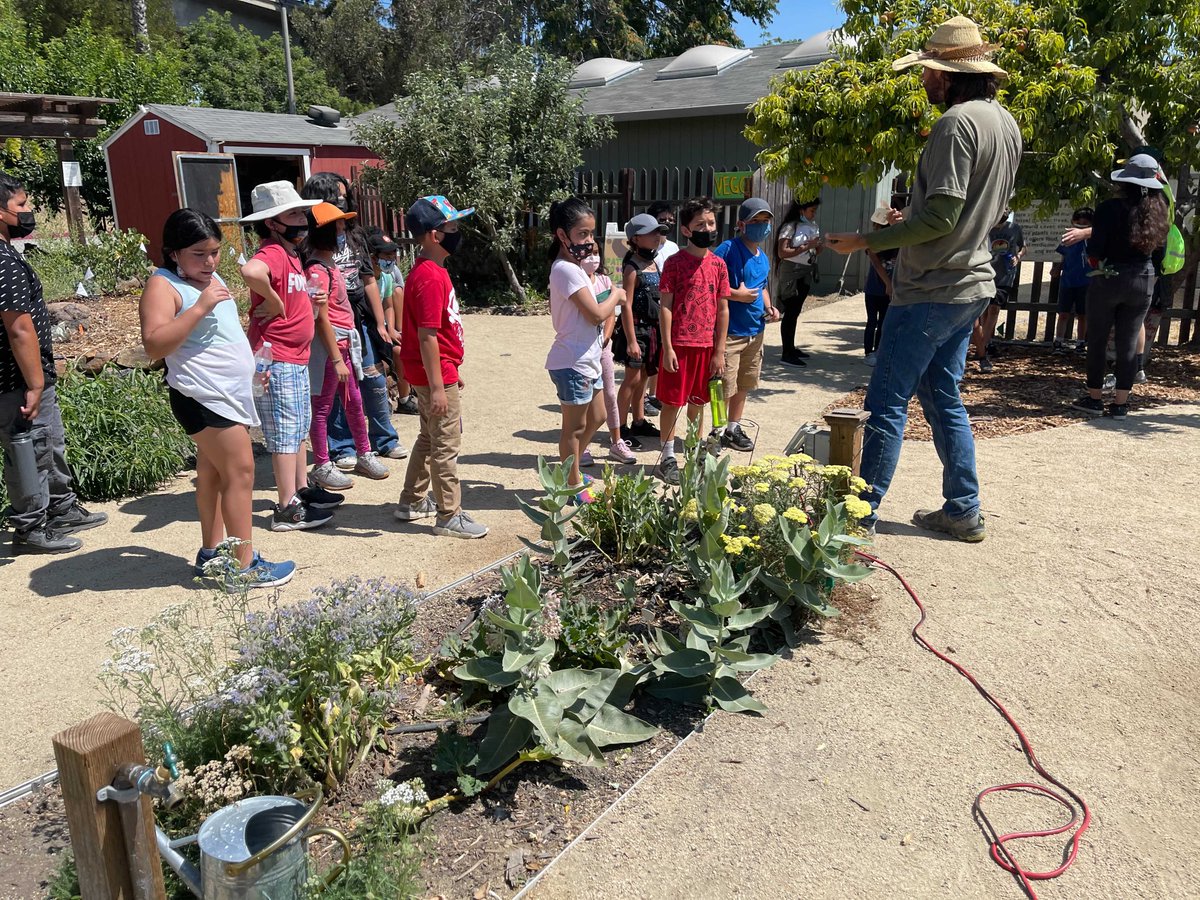 Veggielution 👩🌾 tweet media