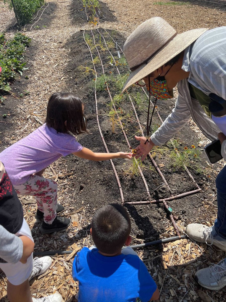 Veggielution 👩🌾 tweet media