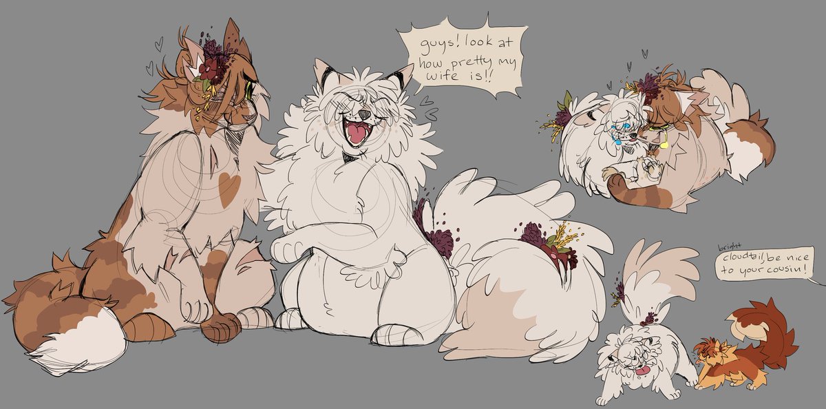 cloudtail and brightheart are the best, hashtag warrior cats.