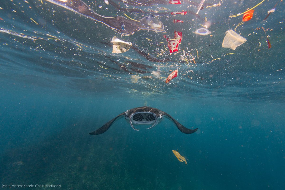 Harmful plastic waste is tainting the water we drink and the air we breathe.

We must break the habit of single-use plastics and start making peace with nature.

The time to #BeatPlasticPollution is now.

bit.ly/3vClmq8