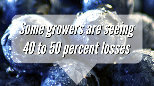 Greg Johnson tweet media