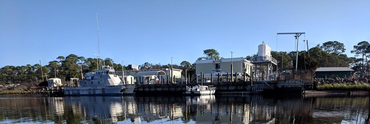 Sarah Lester, PhD (@sarahelester) on Twitter photo Reminder: 2 year postdoc position in social-ecological dynamics of coastal systems working w/ me, <a href="/a_rassweiler/">Andrew Rassweiler</a> & Sandra Brooke. Based <a href="/FSUMarineLab/">FSU Coastal & Marine Lab</a> and working as part of the Apalachicola Bay System Initiative. Apply by July 30. Learn more here: lester-lab.com/hiring Reminder: 2 year postdoc position in social-ecological dynamics of coastal systems working w/ me, <a href="/a_rassweiler/">Andrew Rassweiler</a> & Sandra Brooke. Based <a href="/FSUMarineLab/">FSU Coastal & Marine Lab</a> and working as part of the Apalachicola Bay System Initiative. Apply by July 30. Learn more here: lester-lab.com/hiring