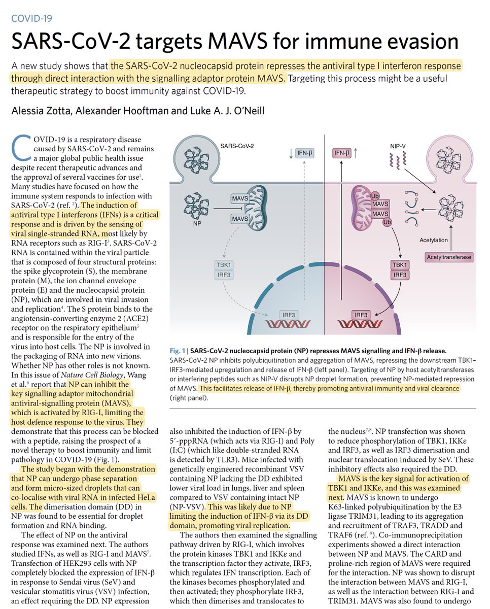 Eric Topol One Way Sarscov2 Can Achieve Immune Evasiveness Is Via Its Nucleocapsid Protein And Mavs Inhibiting Our Innate Immunity 1st Line Of Defense Type 1 Interferon T Co 1yzh9uaero Naturecellbio By