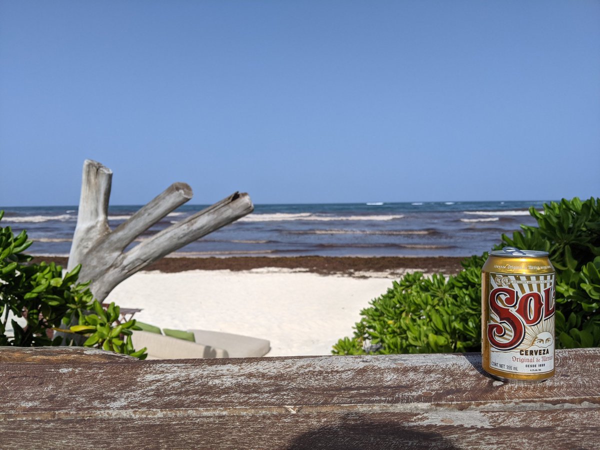 theofficialjon2's tweet photo. #Cervezasol #sargassum https://t.co/17XPbyUHbX
