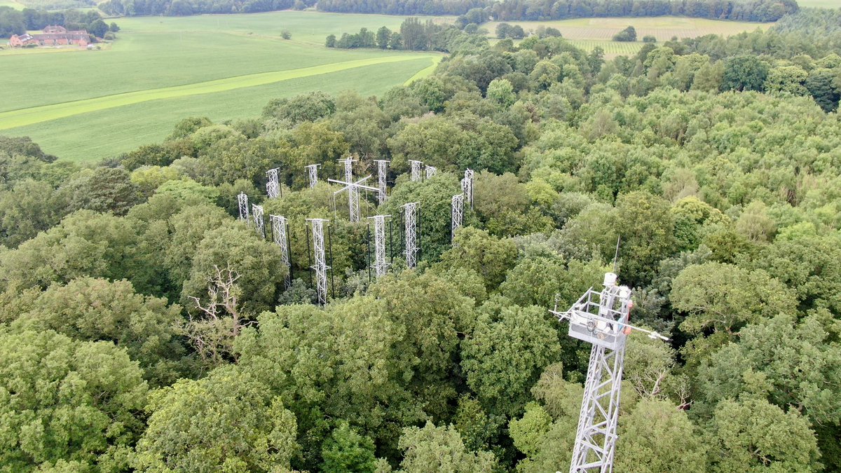 Peter Ganderton tweet media