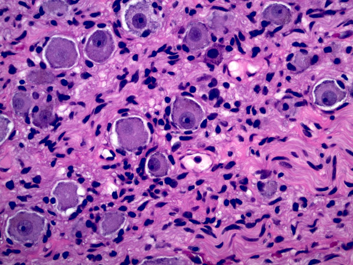 Sanjay Mukhopadhyay tweet media