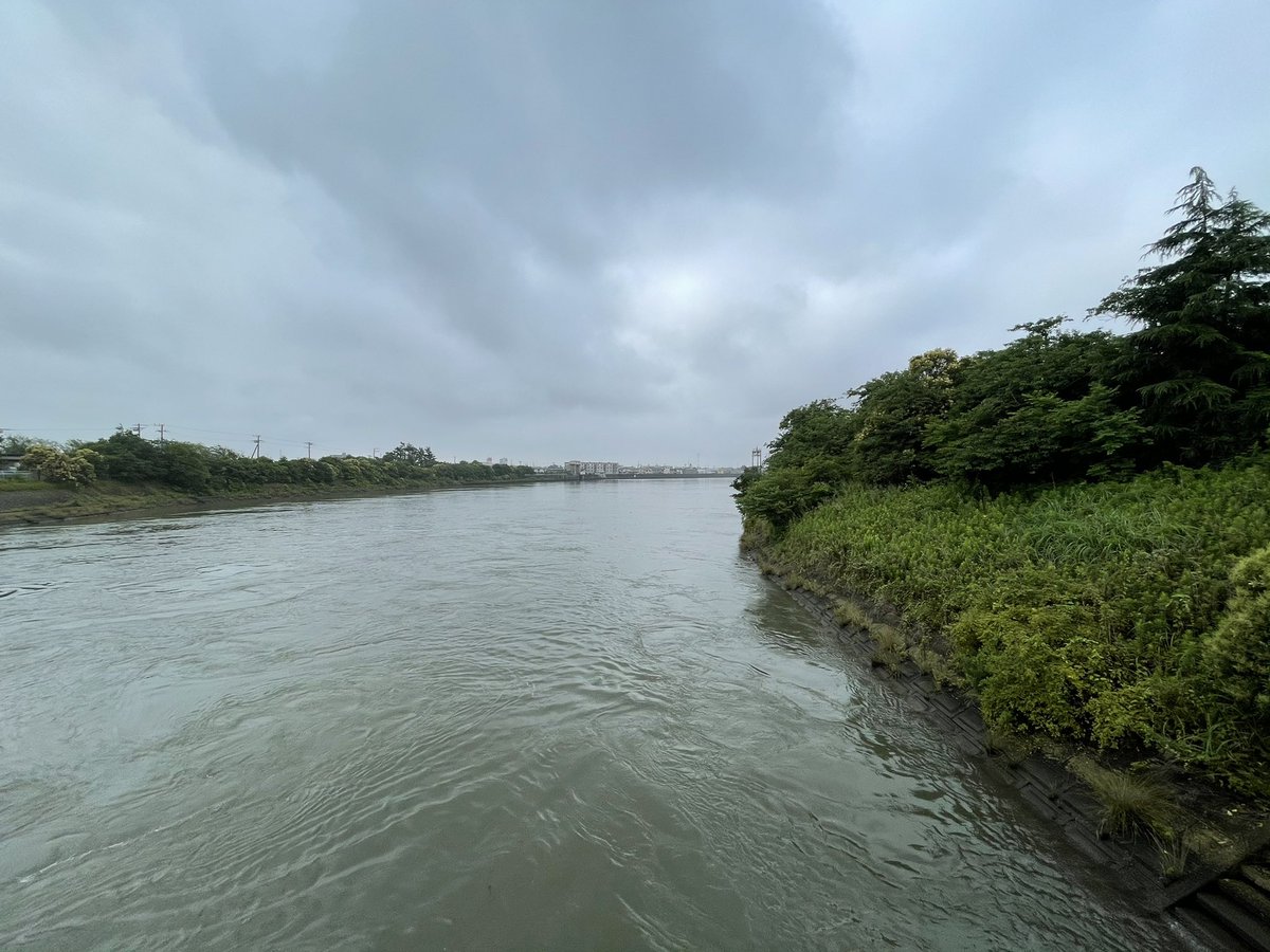 vertigo's tweet image. Between Tokyo and Chiba, along the Edogawa. Nice, peaceful morning with a break from the rains.