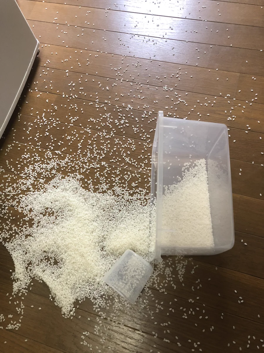 人生って楽しい！！！と思ってしまうくらい大々的にぶち撒かれたお米…w