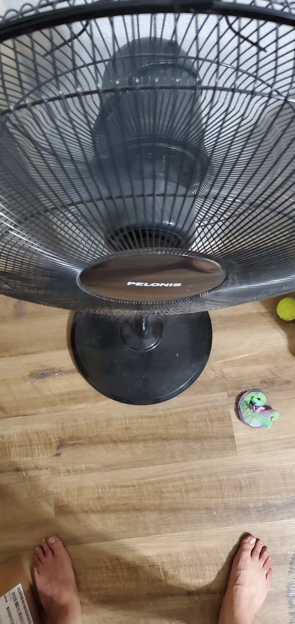 I Died In The Bible on X: Standing naked in front of a fan is self care  t.coG2EdUvjUCA  X