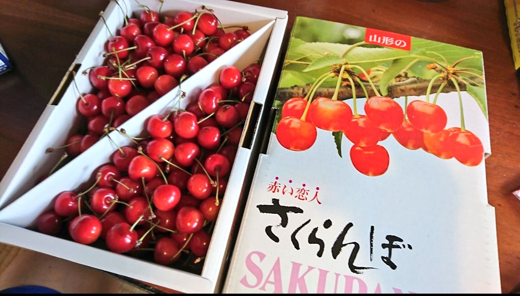 今号より。山形の親戚にさくらんぼ農家さんがいて毎年とても美味しいさくらんぼを届けてもらってます。😊 