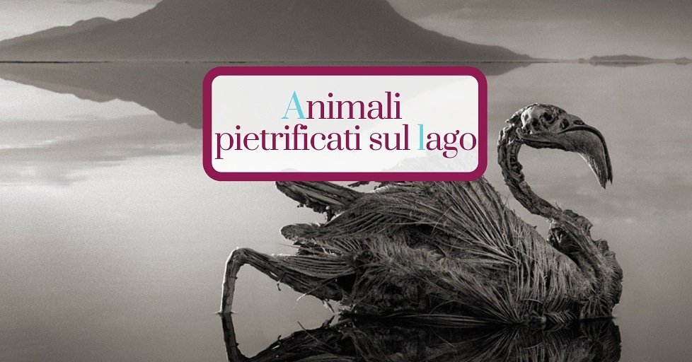 SiNaviga's tweet image. Leggi: sinaviga.it/il-mistero-deg…