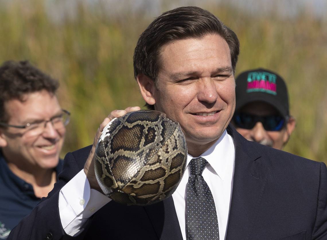 HowardCohen's tweet image. #Florida wants to pay you to stop pythons in the Everglades. How you can be a snake hunter.
Read more here: miamiherald.com/news/local/env…
#FloridaPythonChallenge