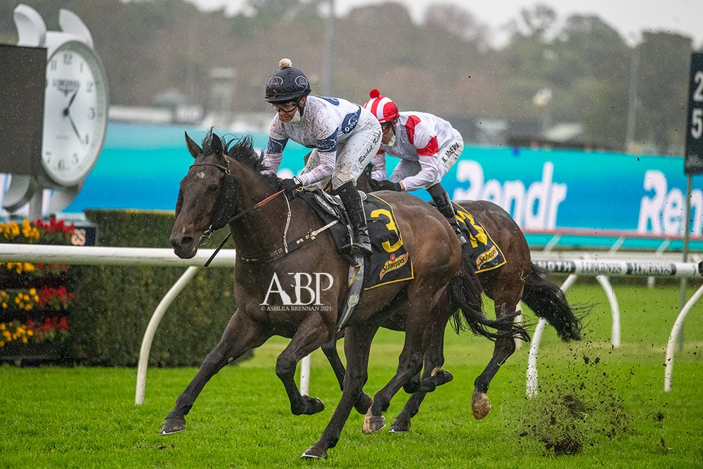 ashbrennanphoto's tweet photo. A race to race double for @BBakerRacing as HARPO MARX (IRE) (#Galileo) salutes in wet conditions for @RachelK11! https://t.co/TmCcvGAfCh