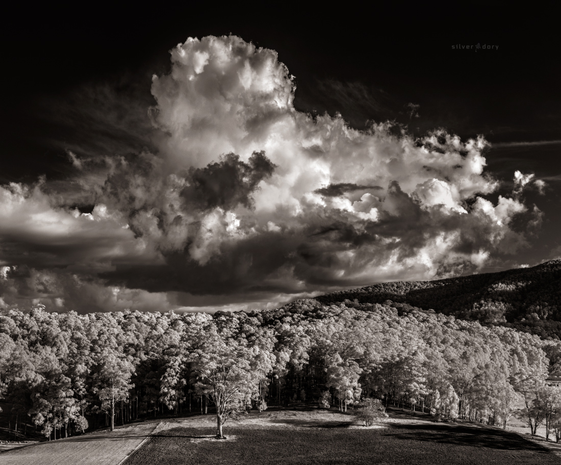 thesilverdory's tweet photo. Dusk storm building south of Corunna, NSW - near-infrared light ... #edgeoflight #winter #inthefield https://t.co/gn0moHKi16