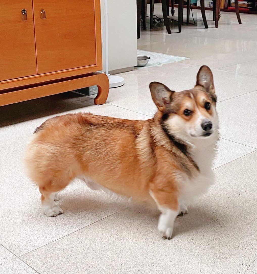 Shakti 🍒 tweet media