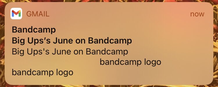 bandcamp logo

               bandcamp

    logo