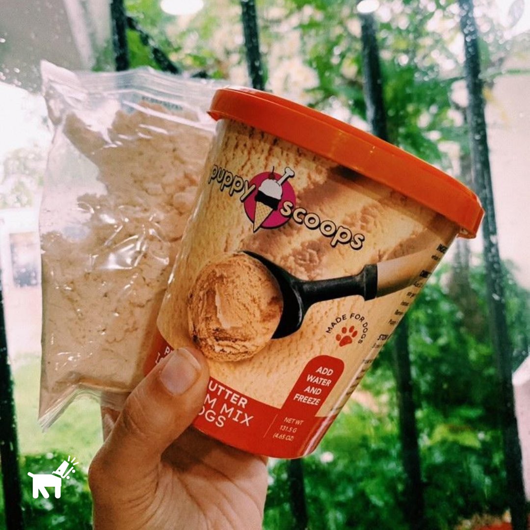 waladog's tweet photo. ¡El sí que sabe como atacar el calor! 🍦🌞

Mix de Helado para Perros, 100% seguro para ellos 🐶👍 #WalaDog #Perros 

https://t.co/W76OyPSy9u https://t.co/fZZxh0RonK