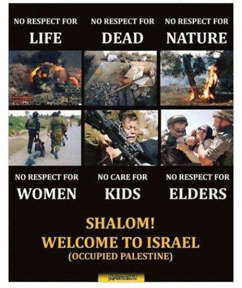 360CNN's tweet photo. @owhy3 @meNabster I agree, their routine impunity and abusive lawless actions are slowly rolling down. If anything the Zionists are screaming louder and attempting the most outrageous actions to ignite regional wars and global incidents but they are getting less and less with each attempt now. https://t.co/8xfYnr5sVg