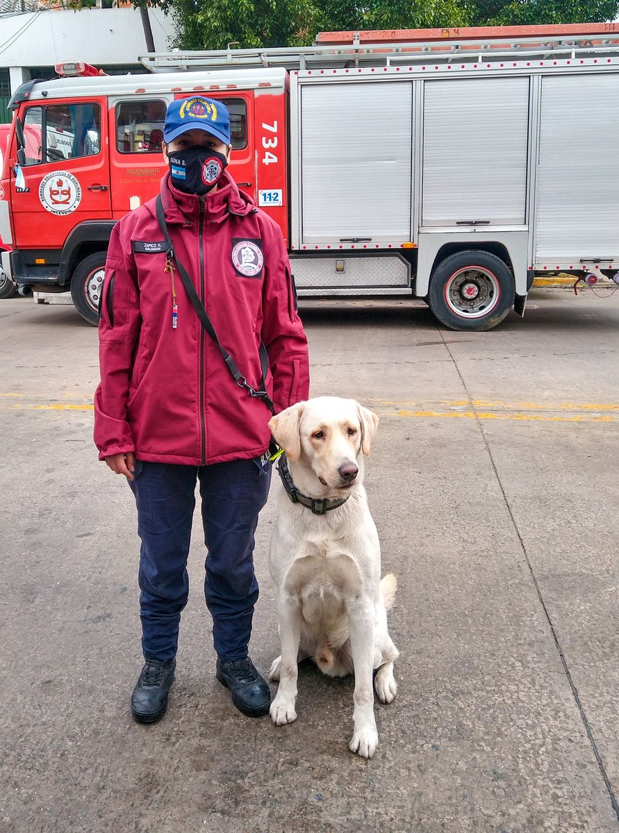 sofia_luna15's tweet photo. 🚒🇦🇷 https://t.co/fPK0pj2ml4