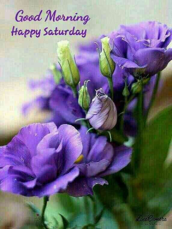 ranigill7's tweet photo. #goomorningfriends #happyweekend #haveasuper #goomorningfriends #happyweekend #haveasuper saturday๐๐๐๐๐๐๐๐๐๐ https://t.co/vFEeTgh0Ki