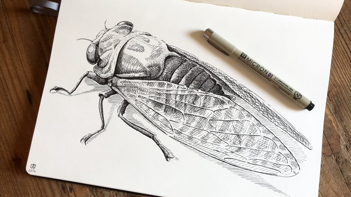 dadrummondart's tweet photo. Art train…please enjoy some arthropods and consider giving the ultra-talented artists @bernoid @Jessica_Joslin @zbrushkt @webvein @Himmapaan a peek and—if you’re like me—a follow. 🖤 https://t.co/lPcyiUxrAC