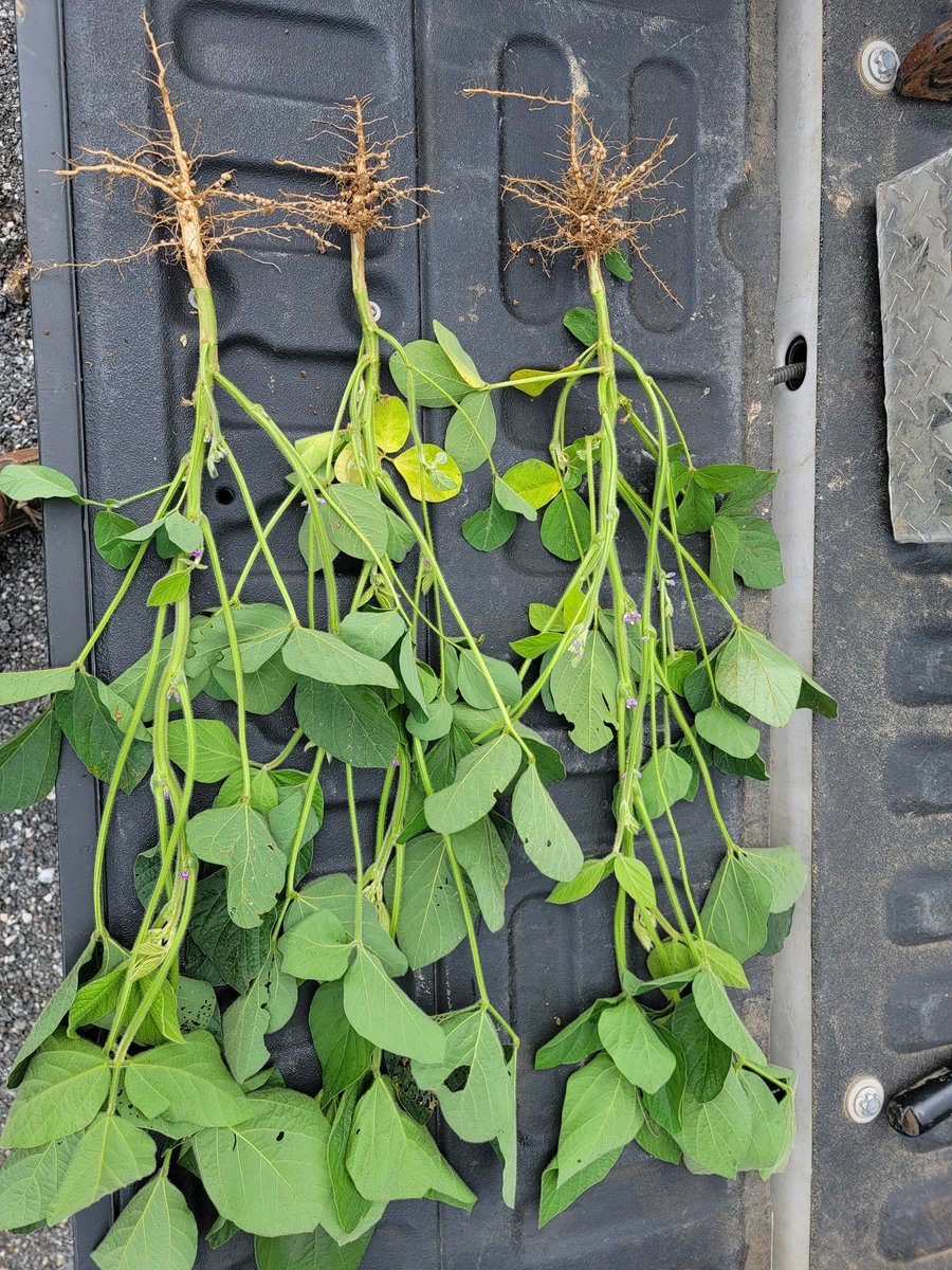 Chris weaver tweet media