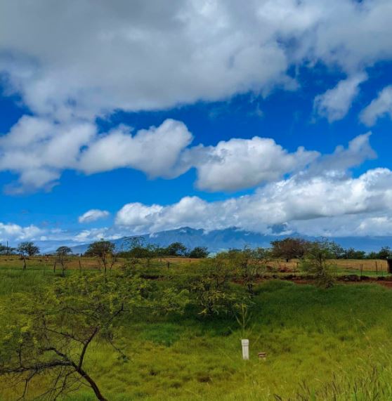 Mountain views and blue skies = one perfect #AlohaFriday! 😍  How are you celebrating the #weekend?

📷: hawaii_family_adventure via IG