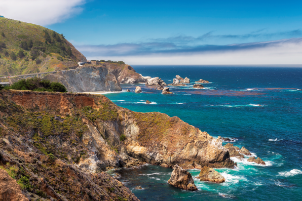 Our 2021 Application is OPEN! Join a global network of fun, inspiring, and enthusiastic emerging leaders, learn how to tackle the most complex #ocean challenges in this ever-changing world! Click to apply!👉🌊🦐🦈🐙🐬bluepioneers.ucsc.edu/apply