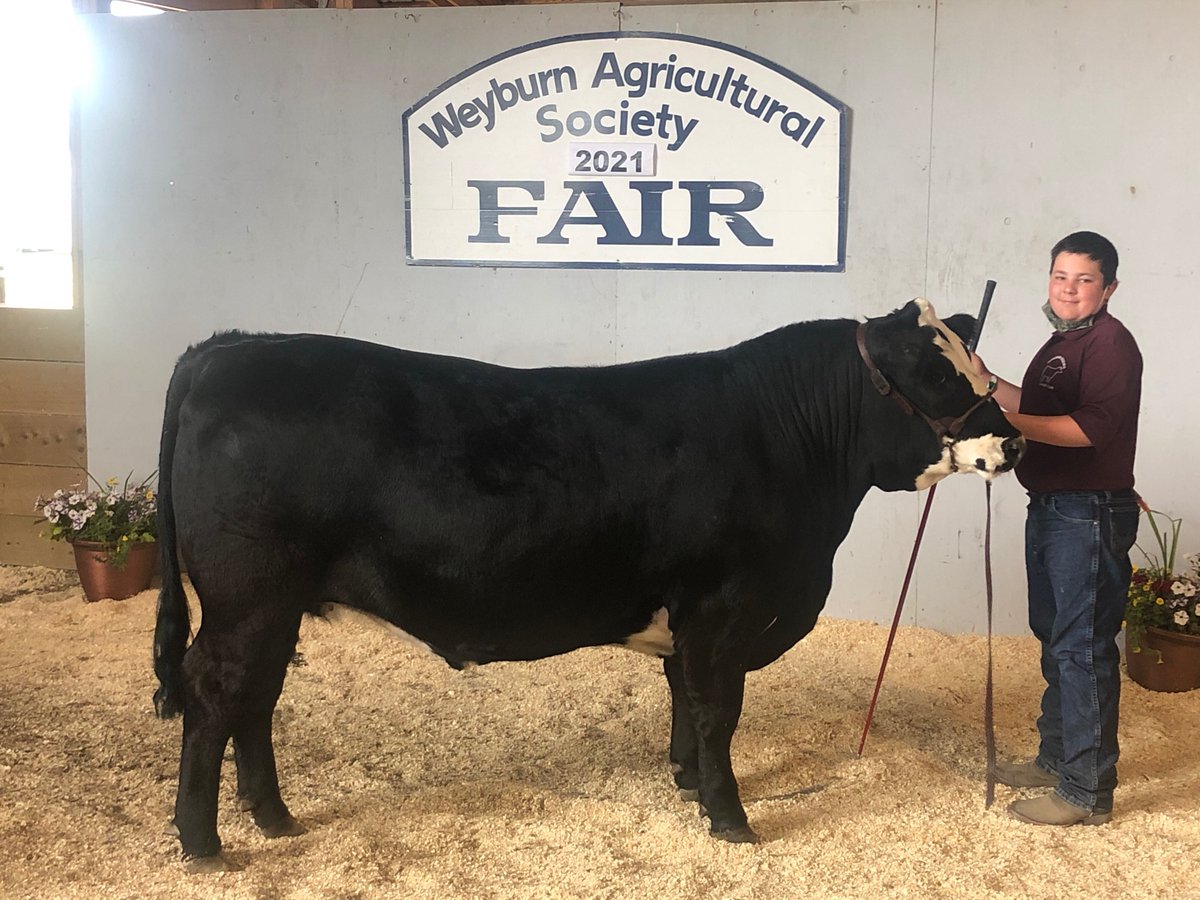 Lee Merrien tweet media