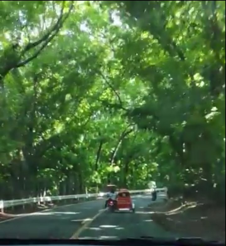 Samantha0797's tweet photo. Where to hon?๐ค
Yey! Another Weekend getaway... Don't you just Love long drives with this kind of roadside views?๐
Happy Weekend Beautiful and Sweet Tweeps, Enjoy your Family day!โบ๏ธ
#SaturdayDrive
#TheWeekendGetaway https://t.co/7nsR2pLgVY