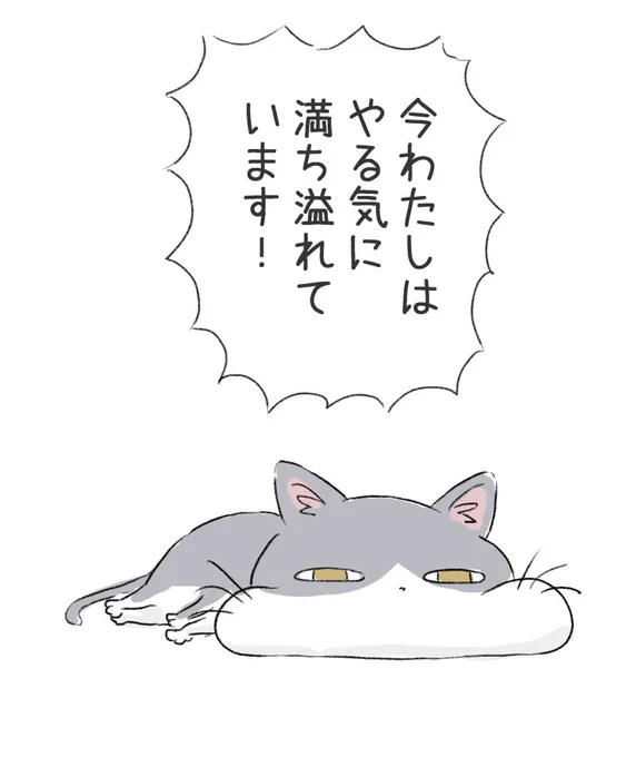 身体は正直な猫 