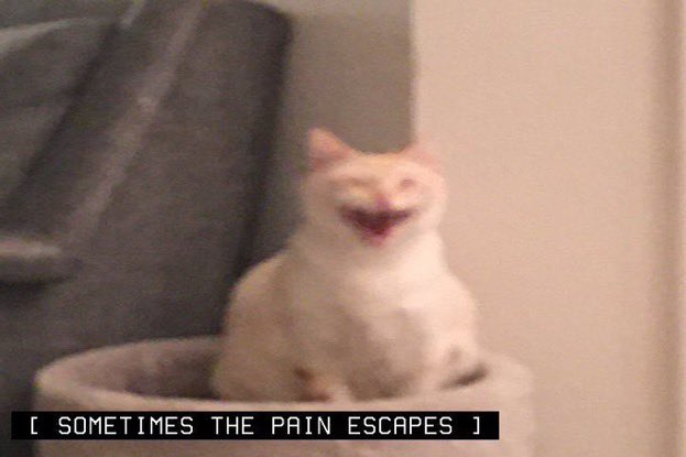 ✨ℓσυ✨( NO MUSE !! ) (@britishiisms) on Twitter photo 