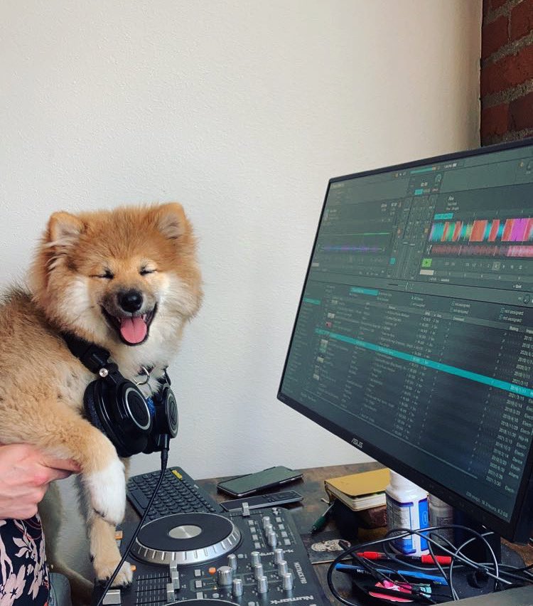 realerinstark's tweet photo. Can someone help me? My dog is sick as fuck. https://t.co/efxgiRpCAA