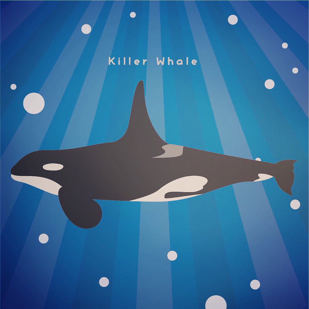 Twitter 上的 まつおるか Rt Uminaka Free 今度はシャチか T Co Yg8vmwmz9t シャチ フリーイラスト 海の仲間たち 東京湾 T Co Psduwr2pn4 Twitter