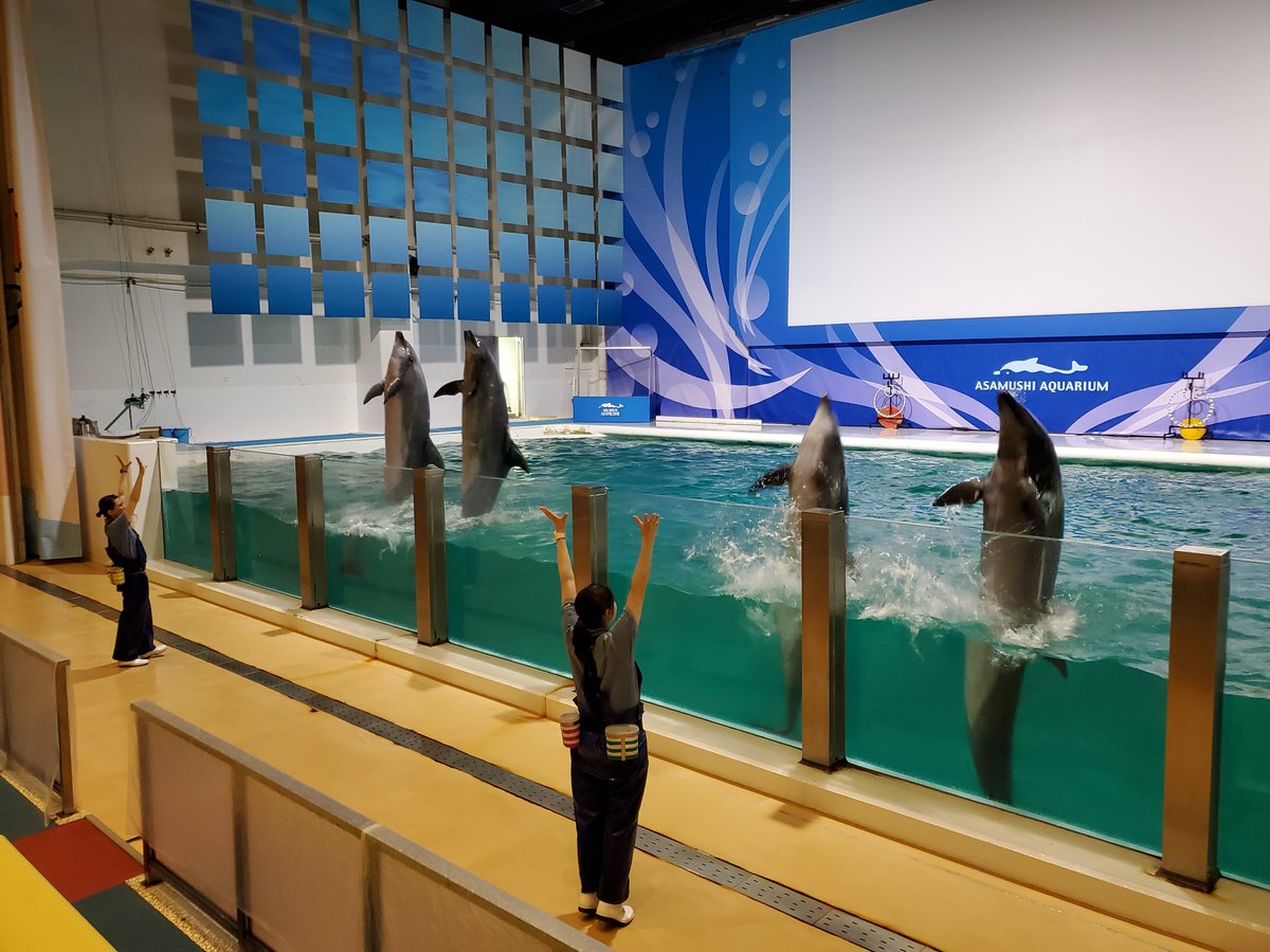 青森県営浅虫水族館 Asamushiaqua Twitter