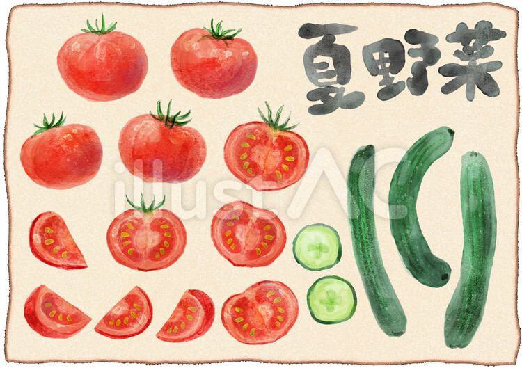 تويتر Nanala デザイン素材用アカウント على تويتر トマトときゅうりのイラスト素材 イラストac 無料素材 夏野菜のイラスト かわいい無料素材 水彩手描き素材 T Co Jkyqnhnpdz T Co Dzwzxsl3xi