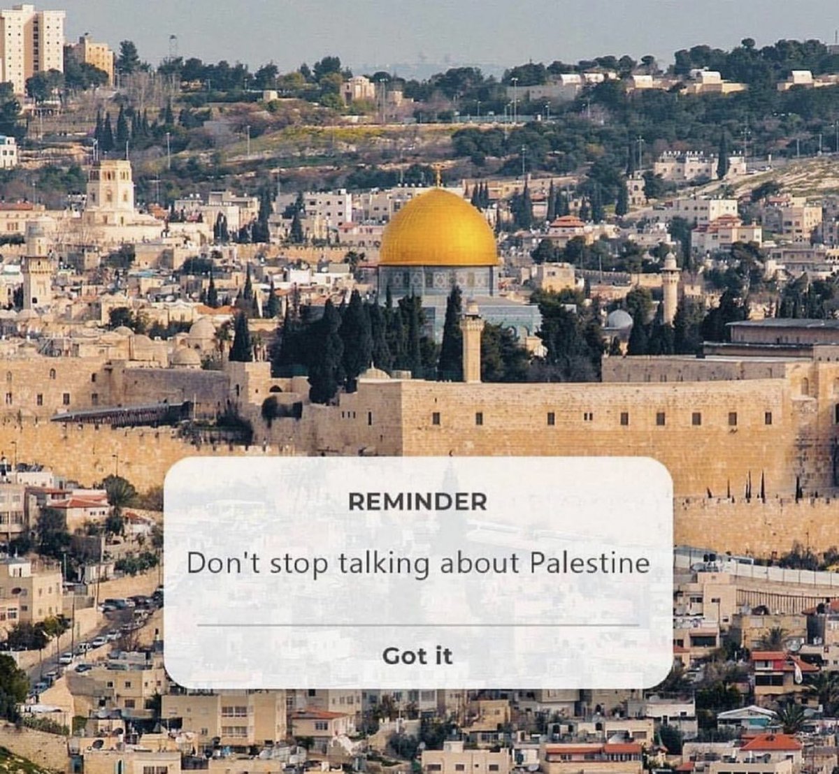 Don’t stop talking about #Palestine.  Don’t stop learning about Palestine. We won’t stop loving Palestine or being Palestinian and it’s that love for our country that drives our resistance. #FreePalestine and #EndTheOccupation. Any silence regarding Palestine is dehumanizing.