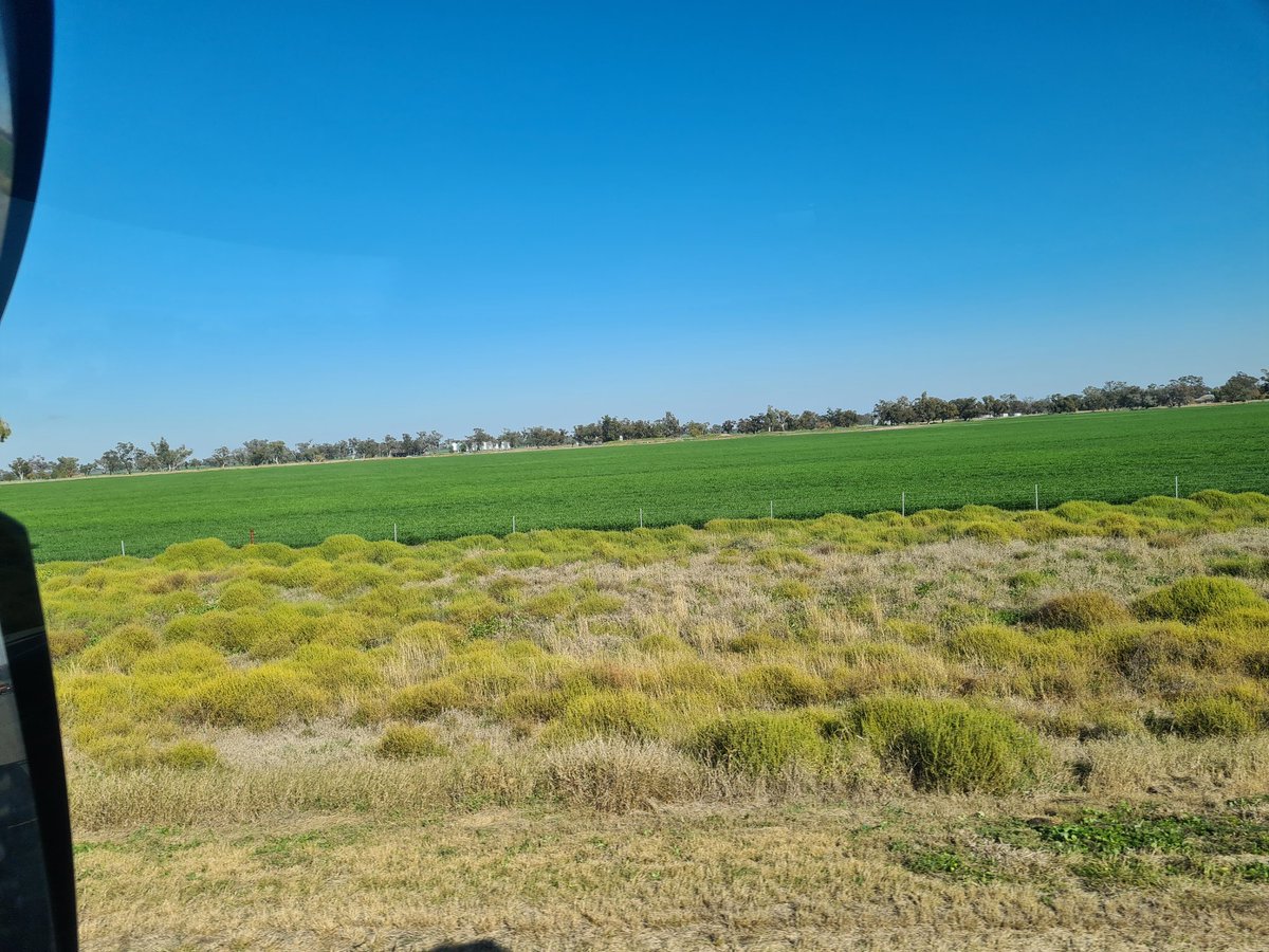 Walgett to coonamble