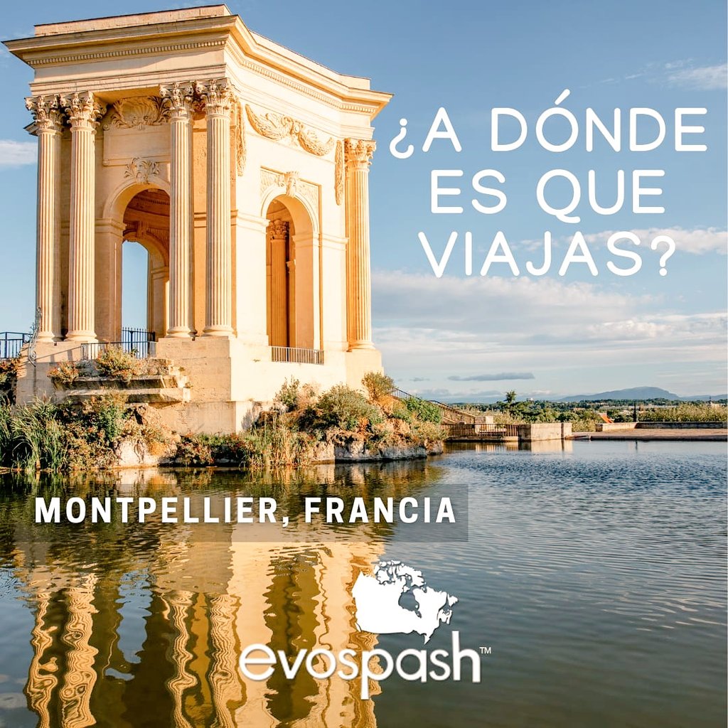 evospash's tweet photo. ¡A Francia! https://t.co/Xde4e6n1Pb