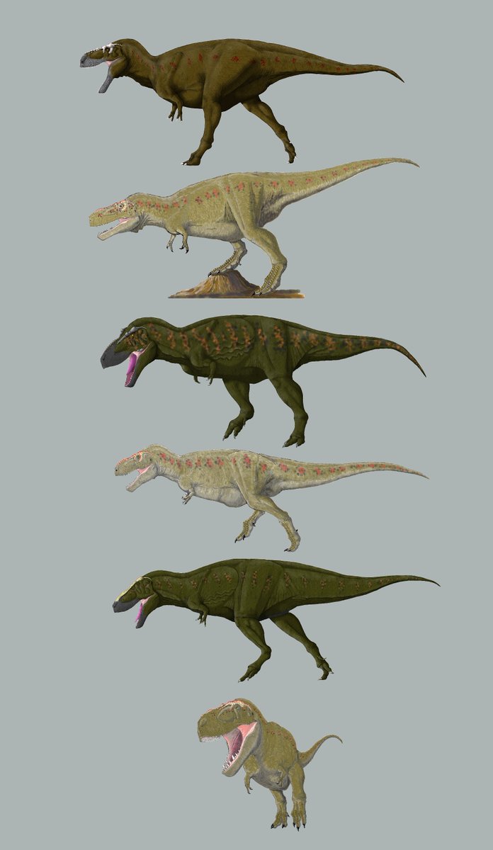 #Tyrannosaurus
#ティラノサウルス
#dinosaur #Theropoda #Tyrannosauridae
縦長