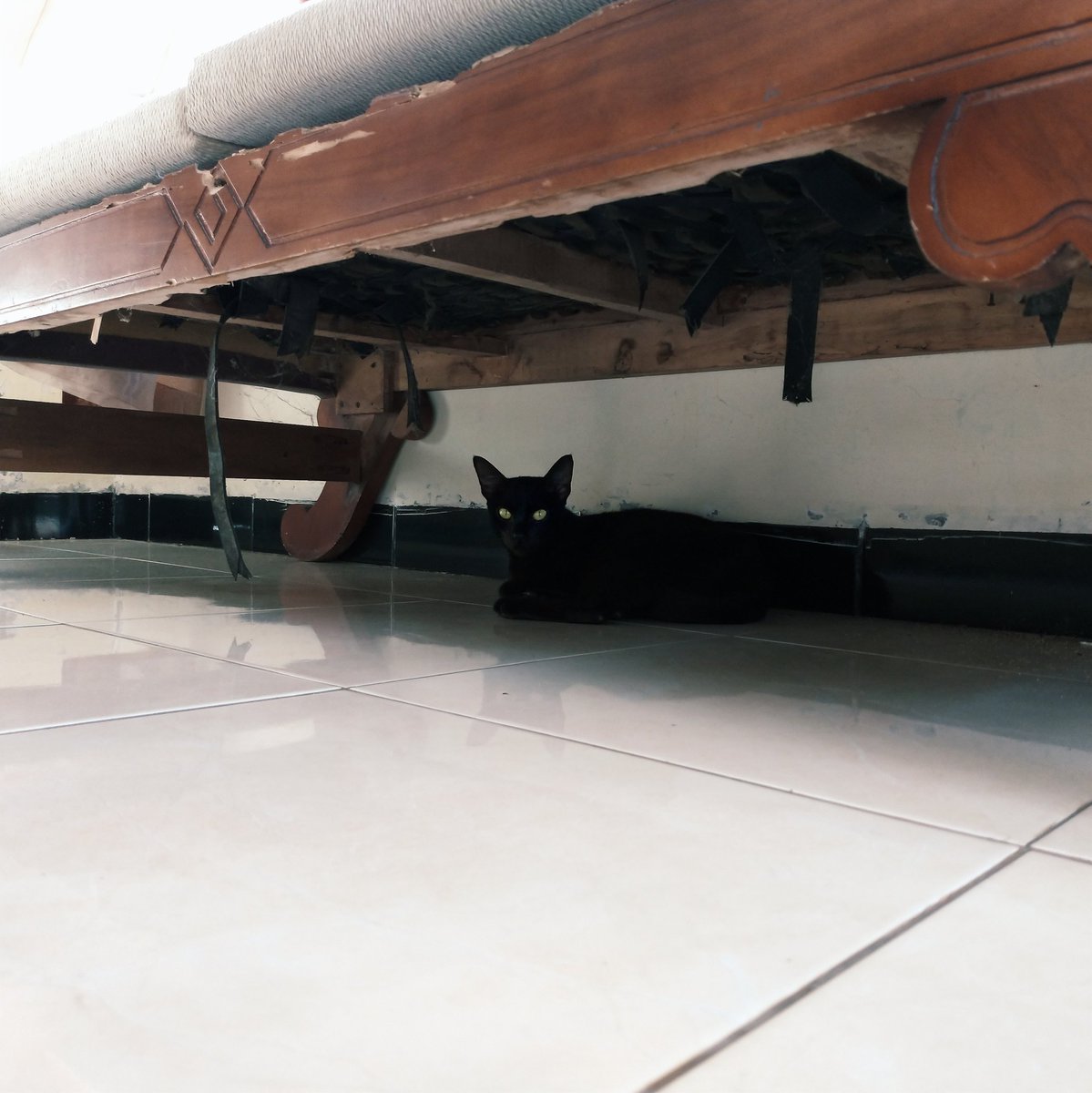 arya_prmn's tweet photo. I'm the night. Fear me. https://t.co/G97aOso4zh