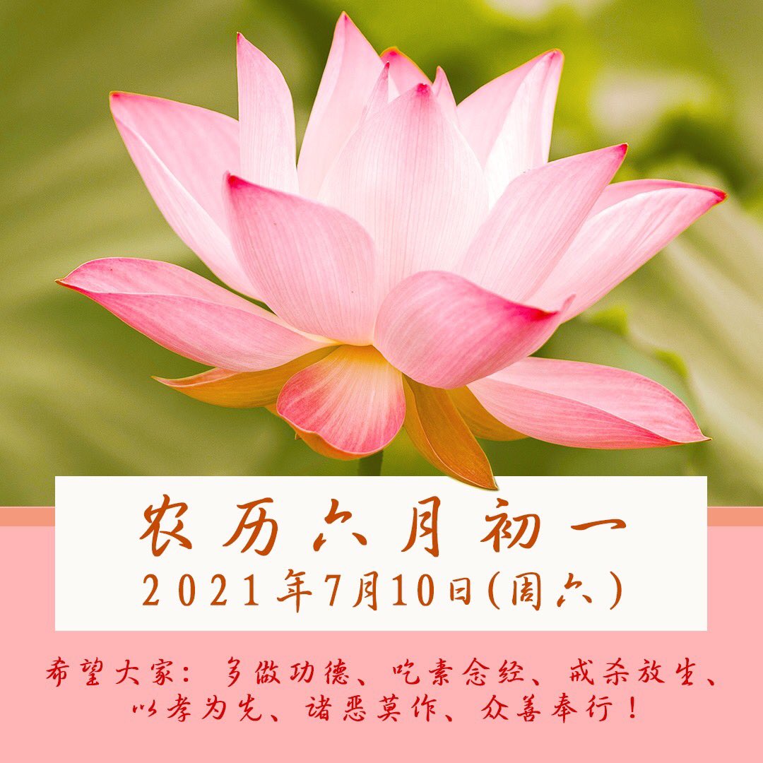 观世音菩萨心灵法门junhonglu 你就能对未来生起信心 因为未来可以由你掌控 因缘聚合是缘分 坦然接受随因缘 不结仇来不结冤 此生化解不晕眩 Junhonglu Lujunhong Masterlu 卢军宏 卢台长